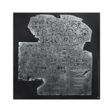 Load image into Gallery viewer, THE LAST WUN VINYL (ALT COVER 1)