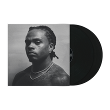 Load image into Gallery viewer, THE LAST WUN VINYL (ALT COVER 3)