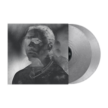 Load image into Gallery viewer, THE LAST WUN VINYL (ALT COVER 2)
